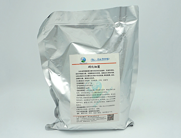 东莞硝化细菌